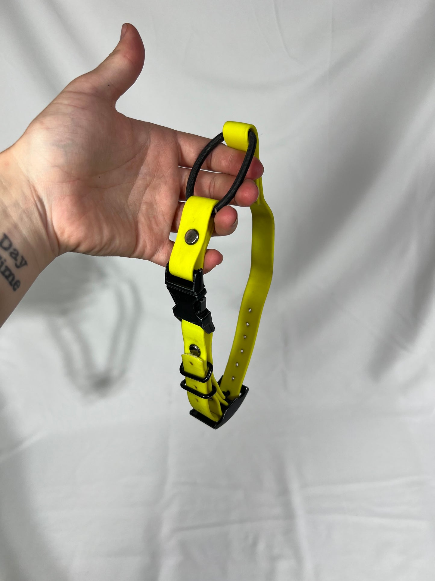 E-collar strap with bungee and buckle